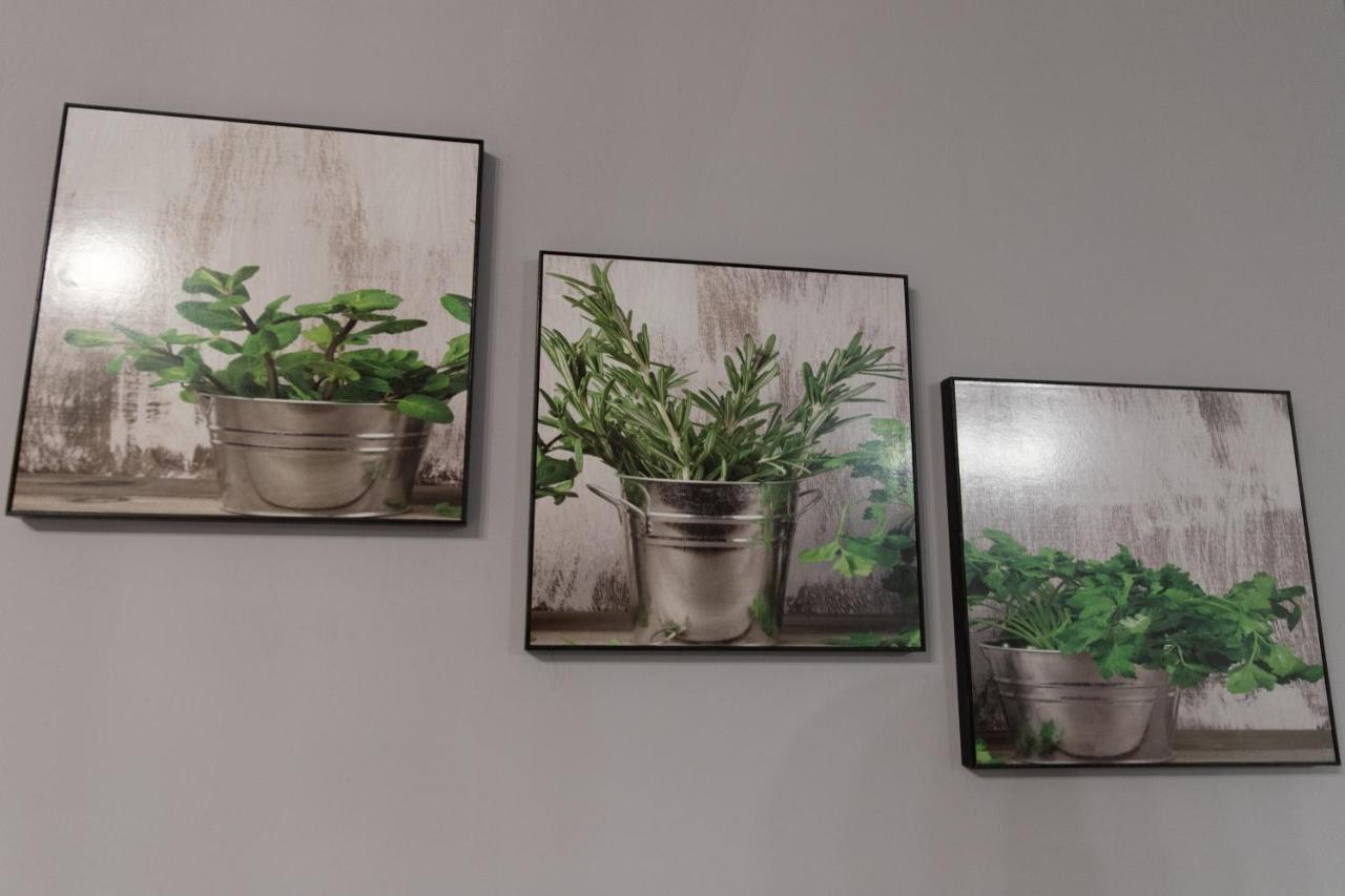 Apartament Marlenka Νίσα Εξωτερικό φωτογραφία